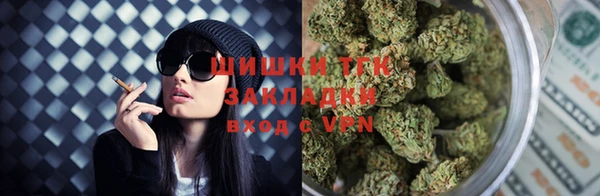 крисы Аркадак