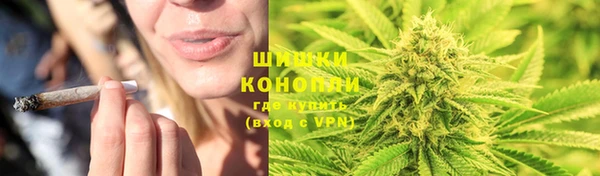 сатива Армянск