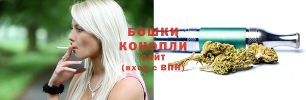 сатива Армянск