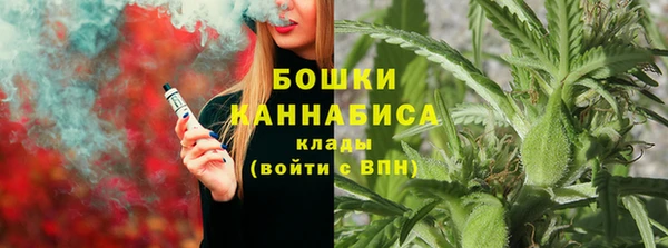 крисы Аркадак