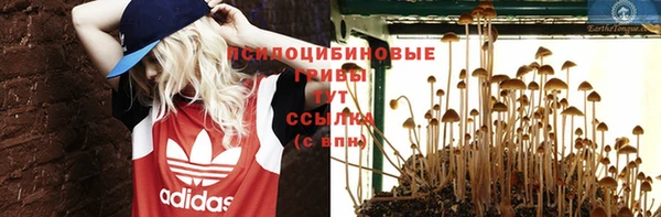 крисы Аркадак